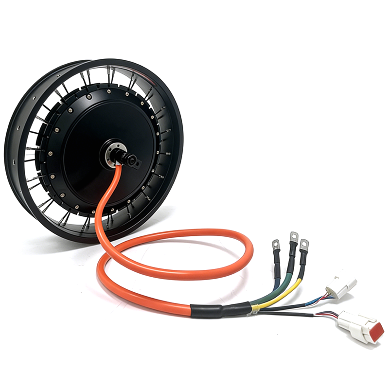 NBpower/QS 273 40 H 48-96 v no - Qs Motor 273 8000W Hub Motor recensie en prijs